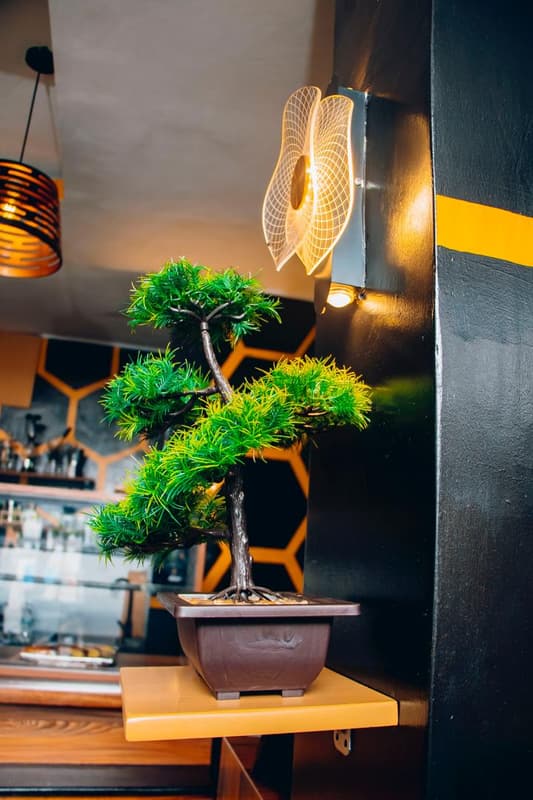 Indoor seating at Issa Coffee (52)